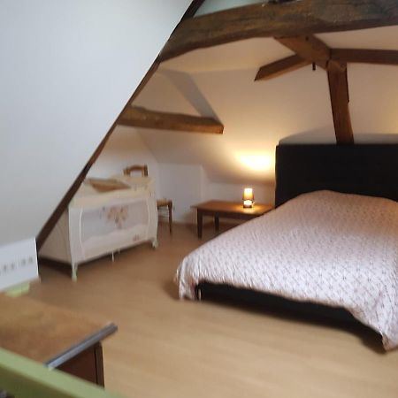 Chez Laiko Wifi Gratuit Villa Beaulieu-sur-Loire Eksteriør billede
