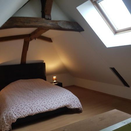 Chez Laiko Wifi Gratuit Villa Beaulieu-sur-Loire Eksteriør billede