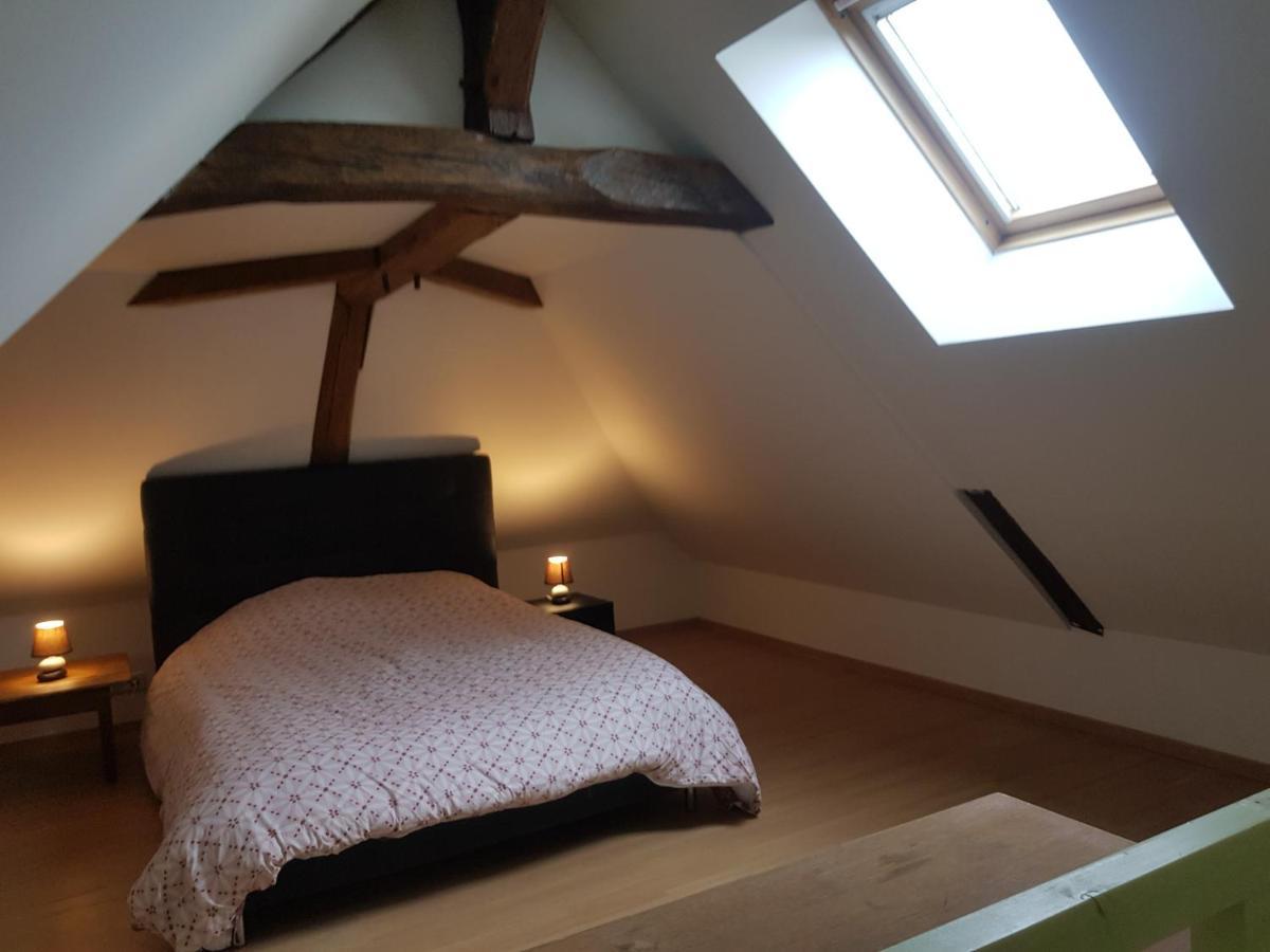 Chez Laiko Wifi Gratuit Villa Beaulieu-sur-Loire Eksteriør billede